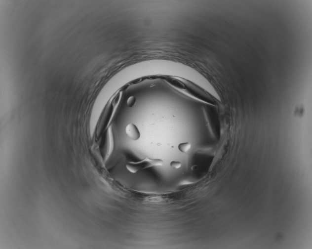 X0000114200231200910231350