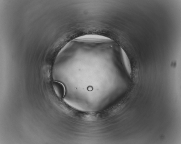 X0000114200232200910231350