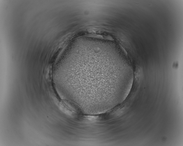 X0000114200233200910231350