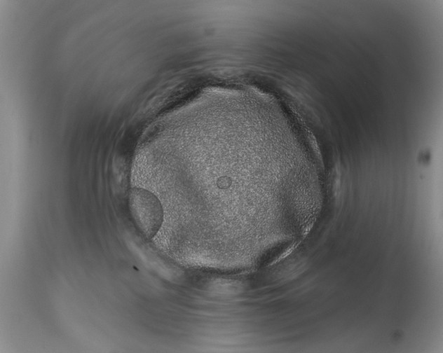 X0000114200234200910231350