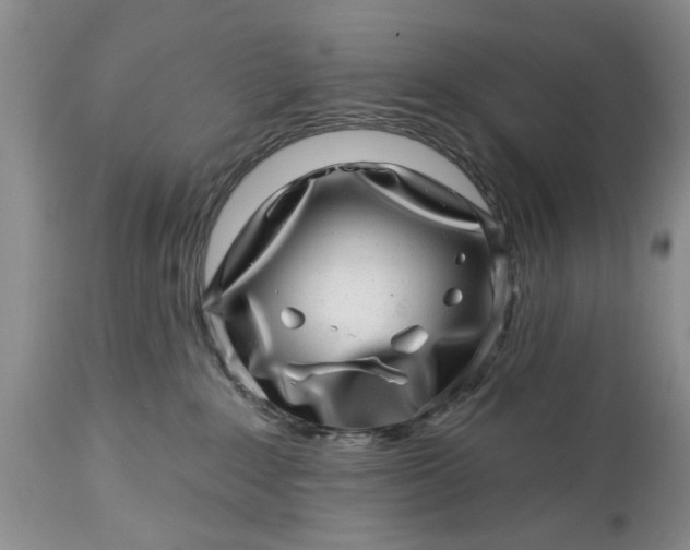 X0000114200235200910231350