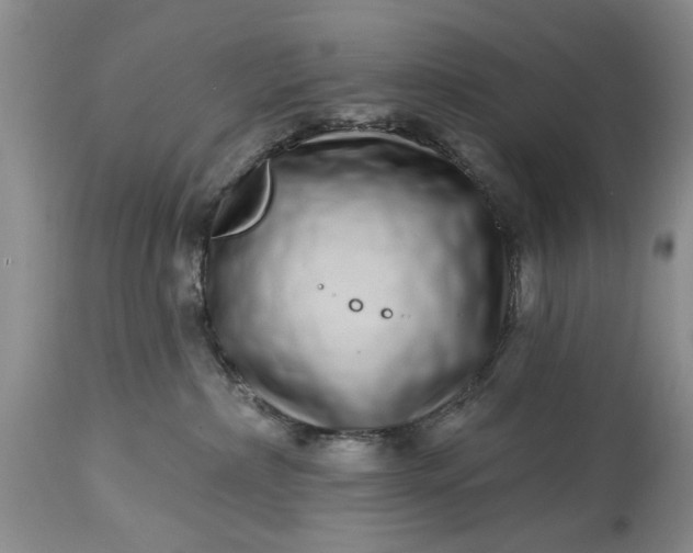 X0000114200236200910231350