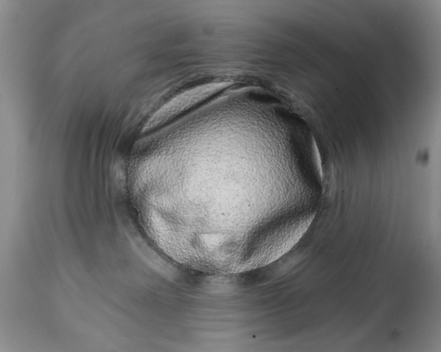 X0000114200238200910231350