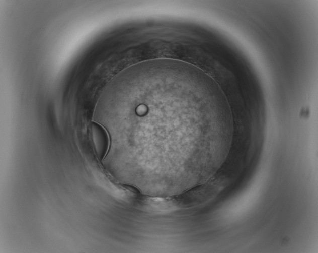 X0000114200239200910231350