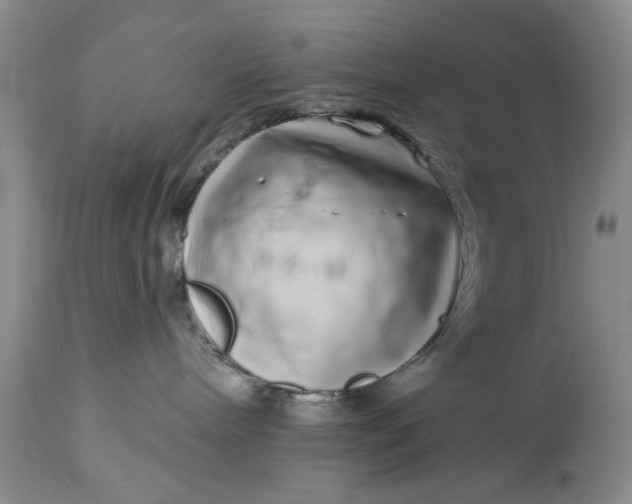 X0000114200240200910231350