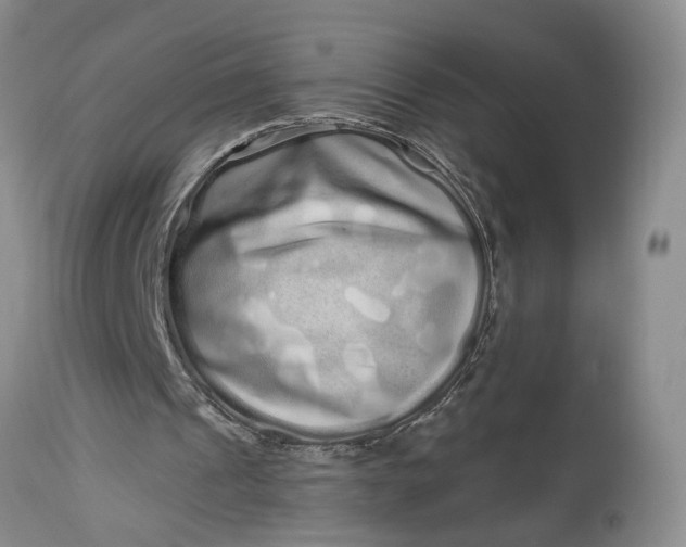 X0000114200241200910231350