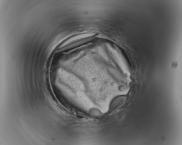 X0000114200242200910231350