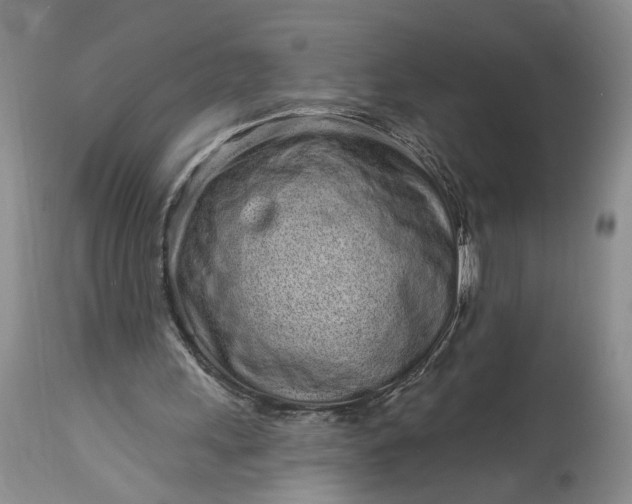 X0000114200243200910231350