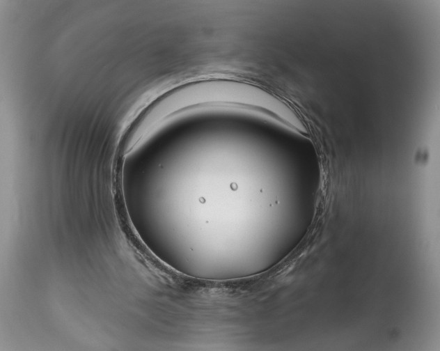 X0000114200244200910231350