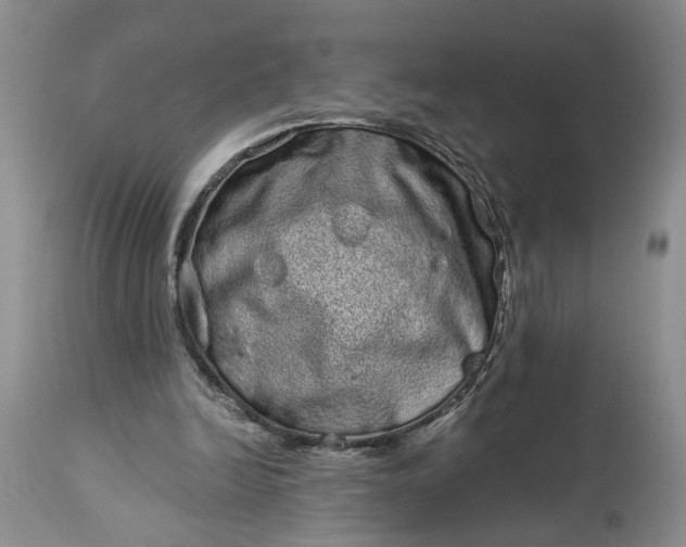 X0000114200246200910231350