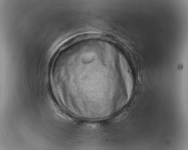 X0000114200247200910231350