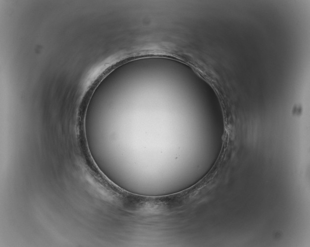 X0000114200248200910231350