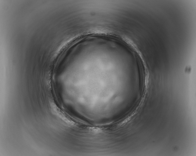 X0000114200249200910231350