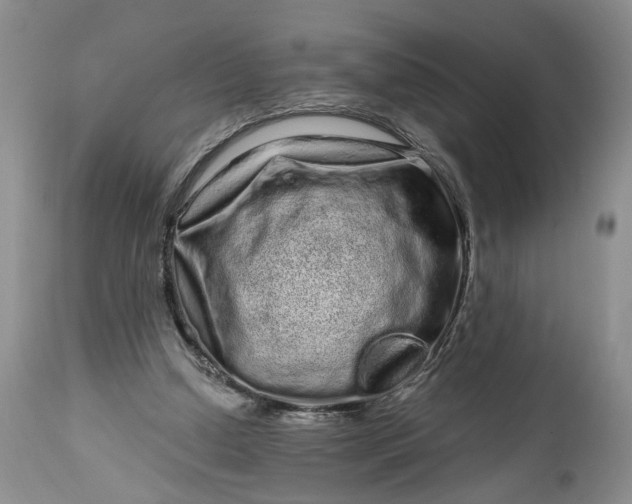 X0000114200250200910231350