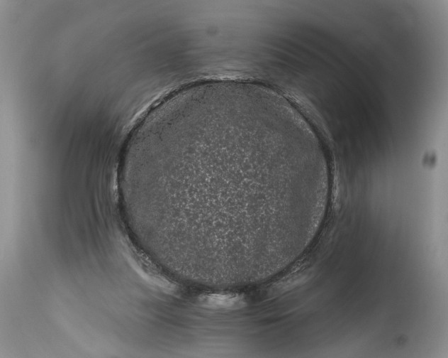 X0000114200251200910231350