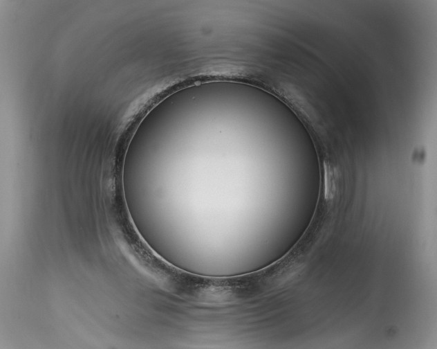 X0000114200252200910231350