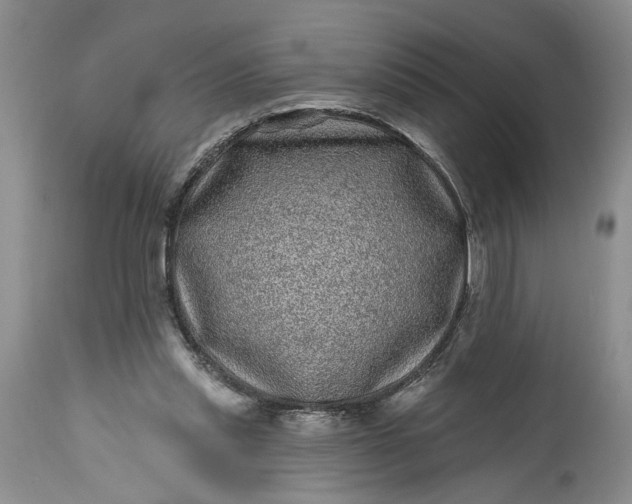 X0000114200253200910231350