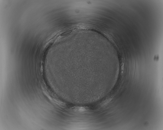 X0000114200254200910231350