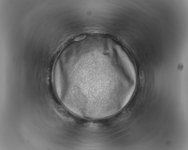 X0000114200255200910231350