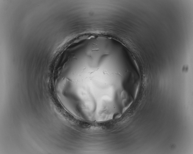 X0000114200256200910231350