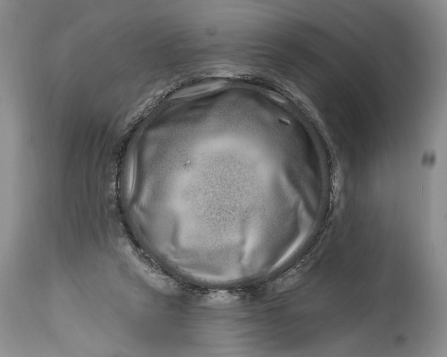 X0000114200257200910231350