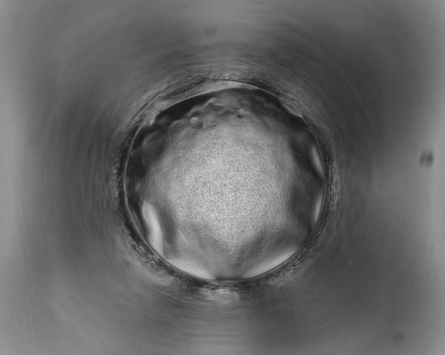 X0000114200258200910231350