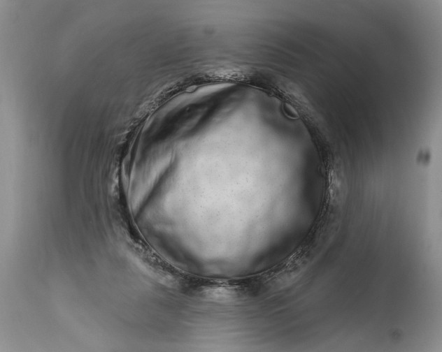 X0000114200259200910231350