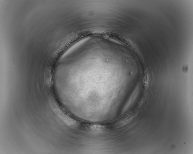 X0000114200261200910231350