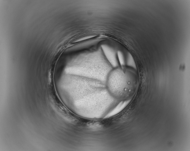 X0000114200262200910231350