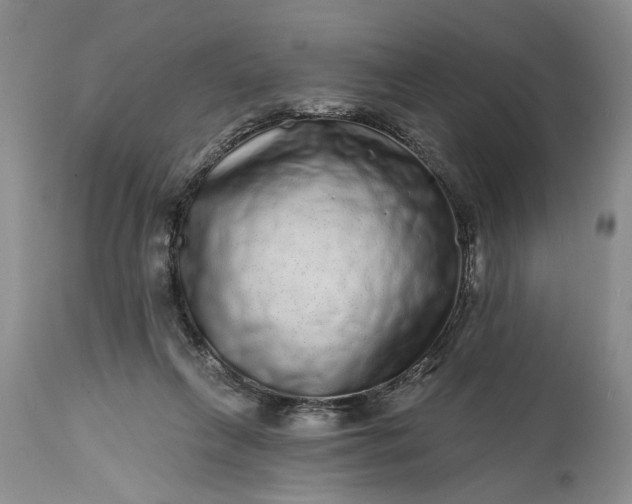 X0000114200263200910231350