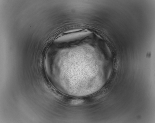 X0000114200266200910231350