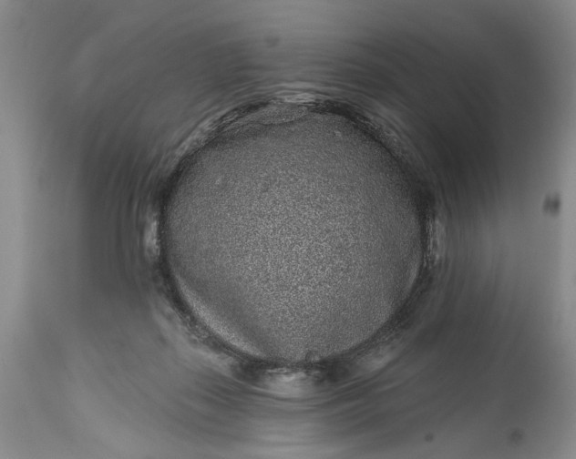 X0000114200267200910231350