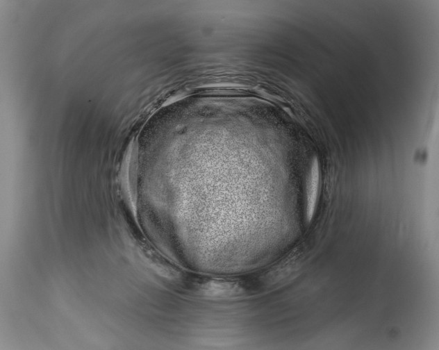 X0000114200270200910231350