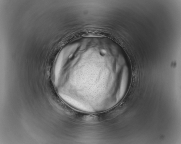 X0000114200271200910231350