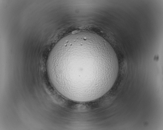 X0000114200272200910231350