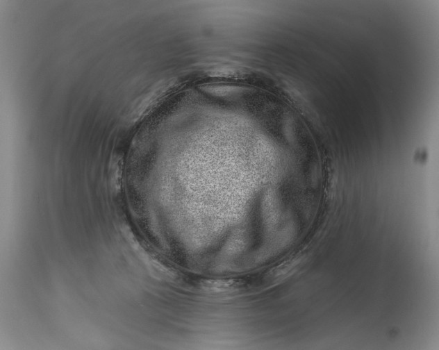 X0000114200273200910231350