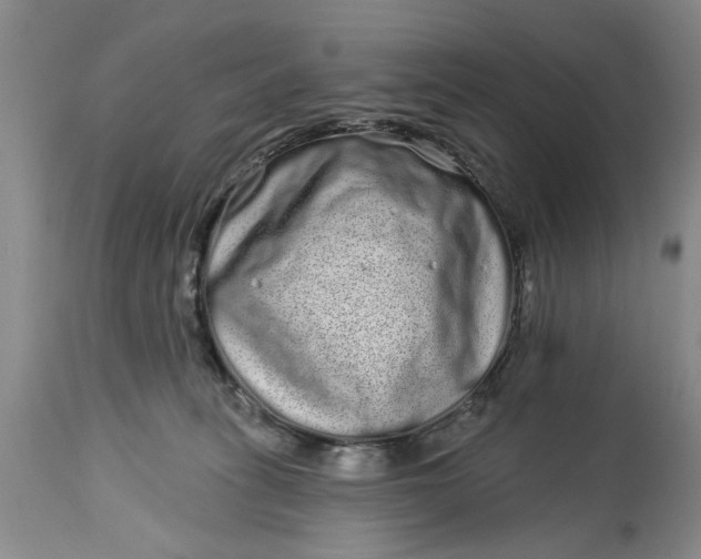 X0000114200275200910231350