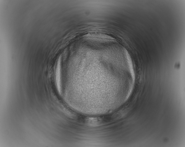 X0000114200277200910231350