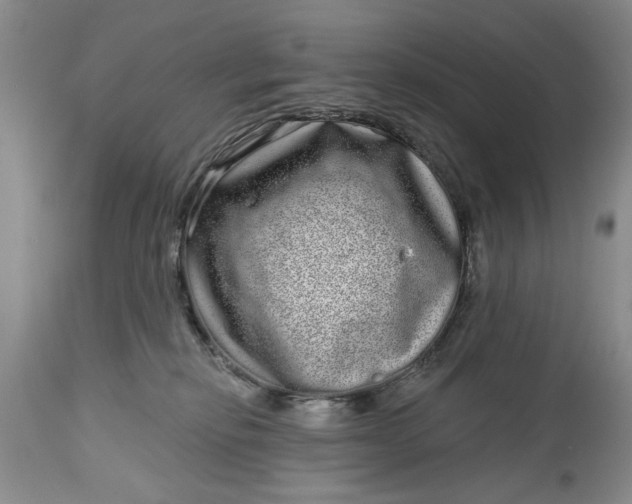 X0000114200278200910231350