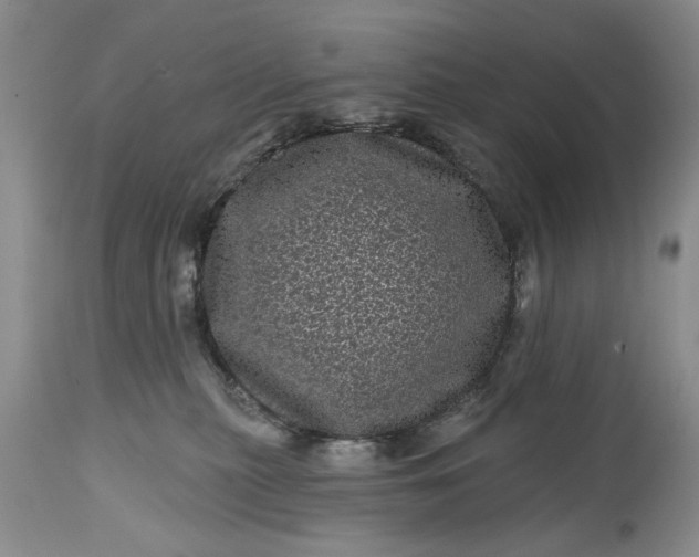 X0000114200279200910231350