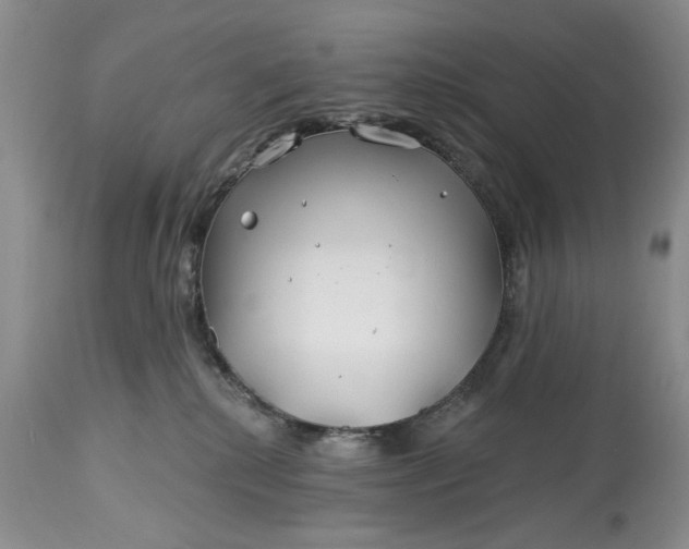 X0000114200280200910231350