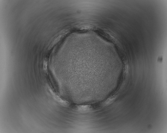 X0000114200281200910231350