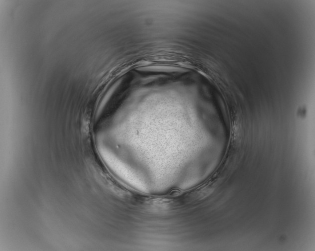 X0000114200282200910231350