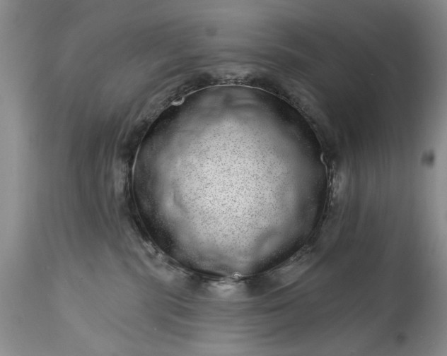 X0000114200283200910231350