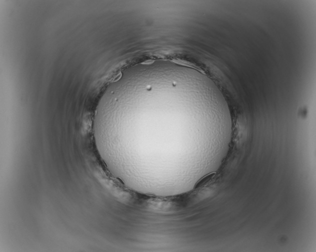 X0000114200284200910231350