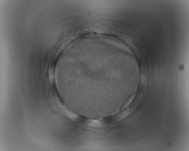 X0000114200285200910231350