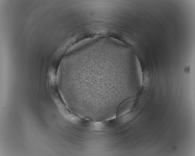 X0000114200287200910231350