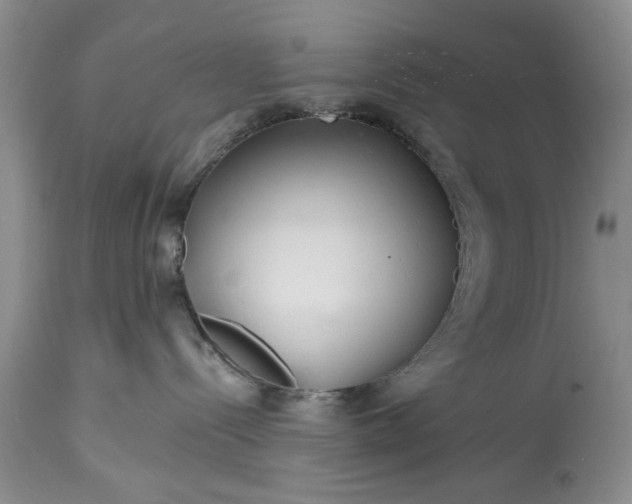 X0000114200288200910231350