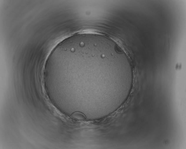 X0000114200289200910231350