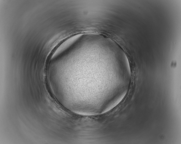 X0000114200290200910231350